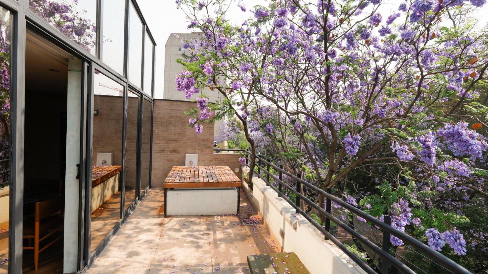 Rodona Hotel Meksyk Zewnętrze zdjęcie