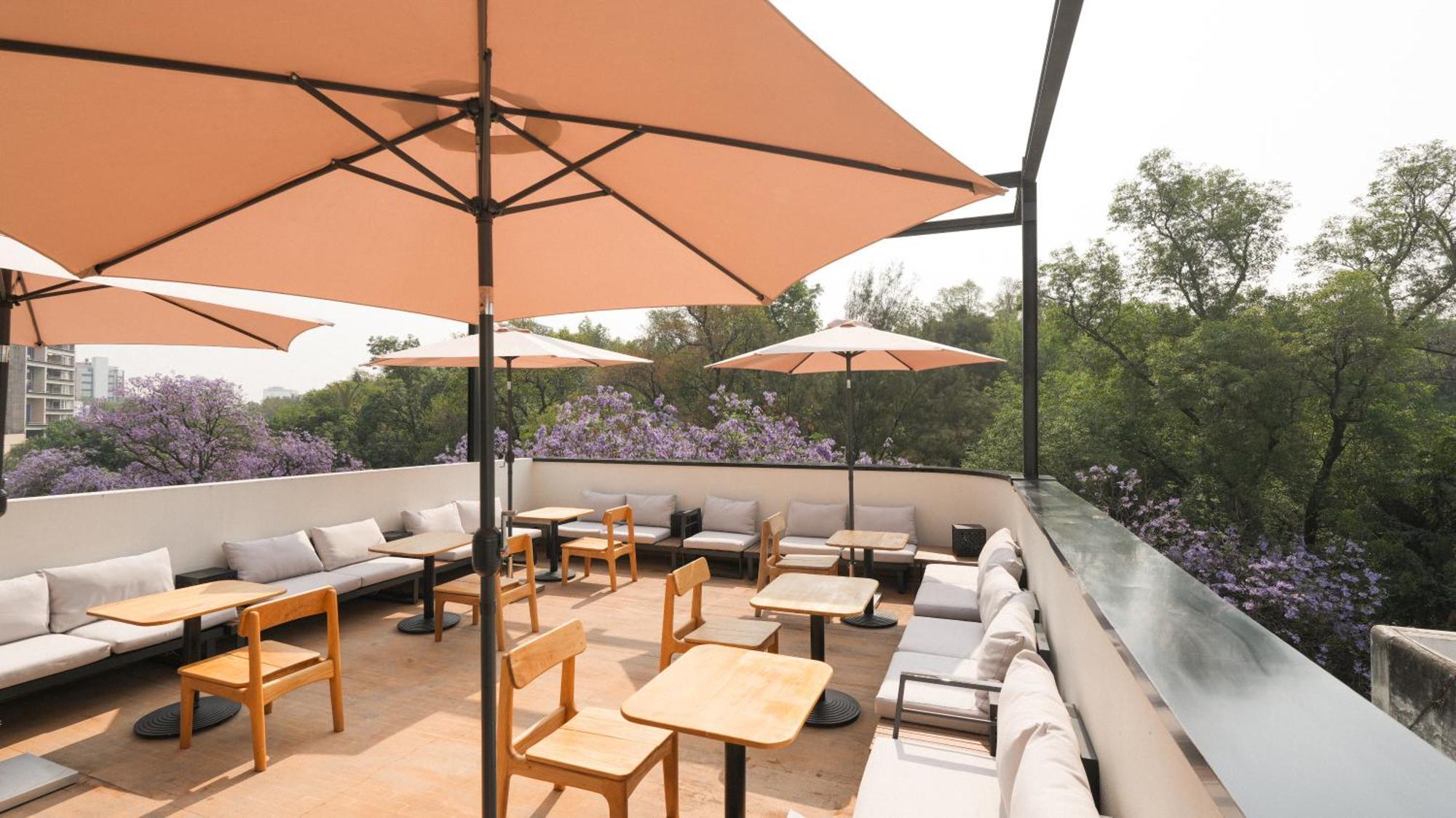 Rodona Hotel Meksyk Zewnętrze zdjęcie